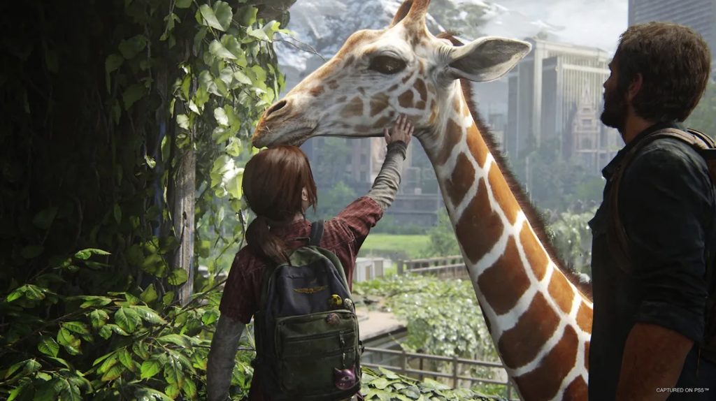 Ellie strokes a giraffe as Joel watches in The Last of Us.